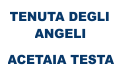 vai al sito